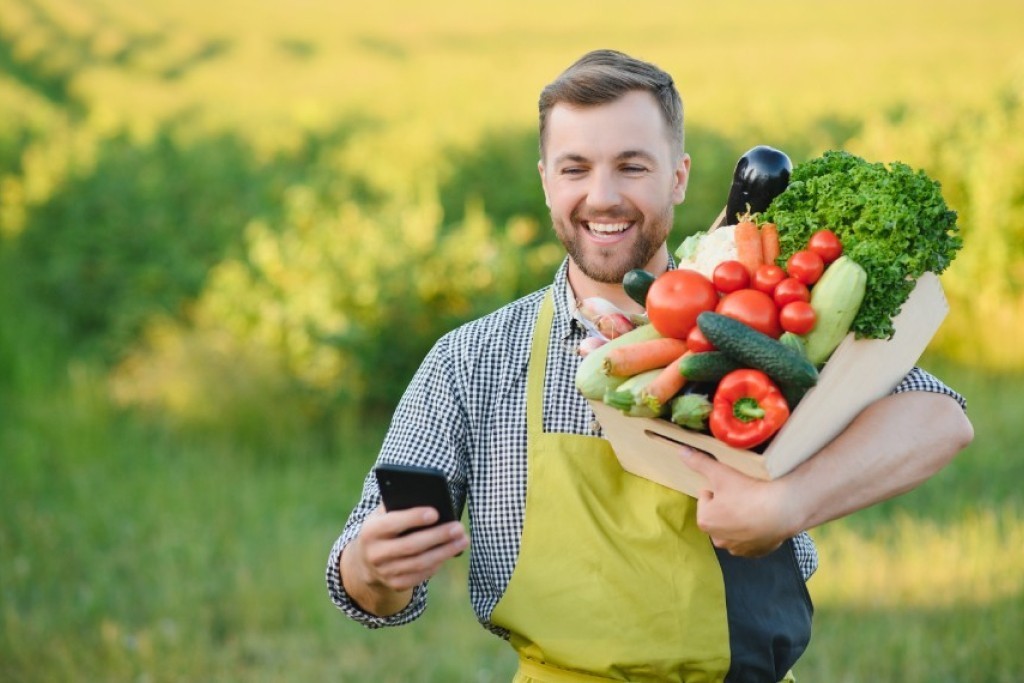 Top Grocery App Development Solutions for Businesses